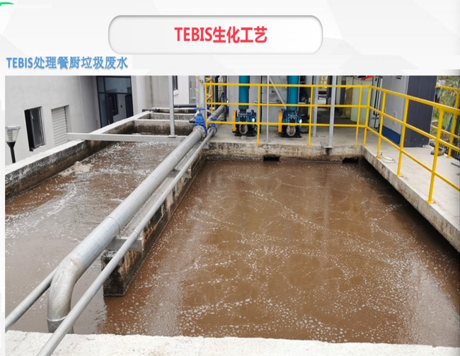 公司专利强力脱碳脱氮技术TEBIS生化工艺(图7)